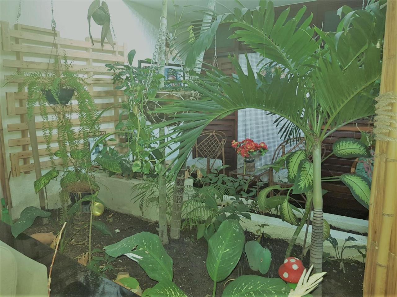 Pousada Terra Garrida Maceió Zewnętrze zdjęcie